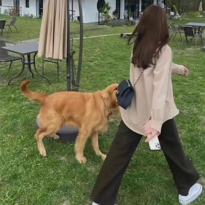 我的天才女友第二季